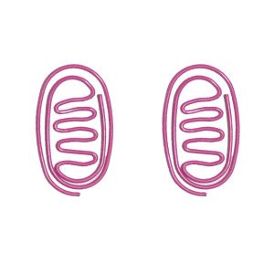 pink shaped paper clips in gut outline, bowel intestine paper clips